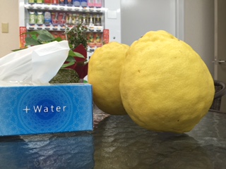 巨大レモン頂きました！！