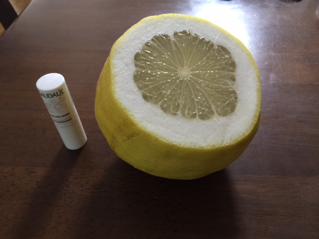 巨大レモン　切ってみました！